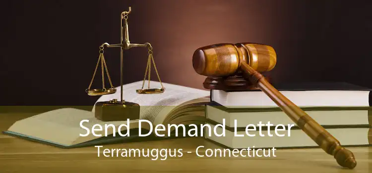 Send Demand Letter Terramuggus - Connecticut